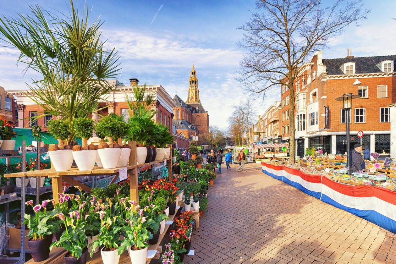 Annual flower market